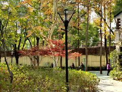 -徐家汇源景区-衡山公园