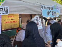 -嘉定紫藤园