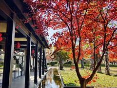 -禧宴Joyous Restaurant(禧园店)