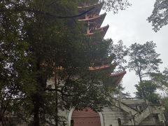 -缙云山景区