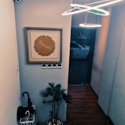 -THE LOG SALON 记录