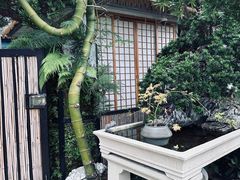 -自由生长植物工作室(深港花卉中心店)
