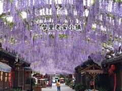 -婺源梦里老家大型山水实景演出