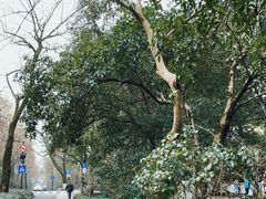 -杭州植物园