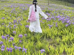 -白鹭湾湿地公园