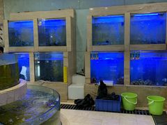 -粤珍轩.创始店.始于2001(含光门店)
