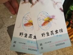-上海大自然野生昆虫馆(东方明珠·爬宠昆虫探索中心)
