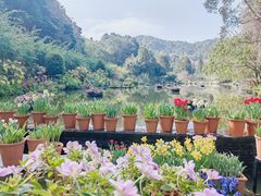 -深圳仙湖植物园