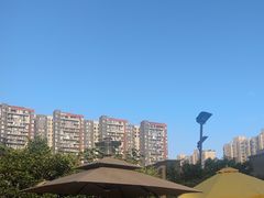 -帕帕拉兹宠物(亚洲旗舰店)