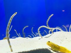 -上海海洋水族馆