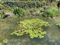 -中国茶叶博物馆(双峰馆区)