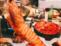 -鲜入围煮花胶鸡海鲜火锅