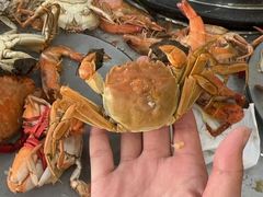 -仙螺岛海鲜自助餐厅(总店)