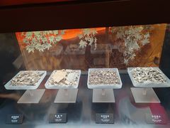-河姆渡遗址博物馆