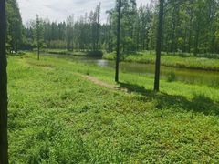 -黄海国家森林公园