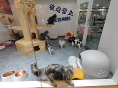 -申氏糕点(三好街店)