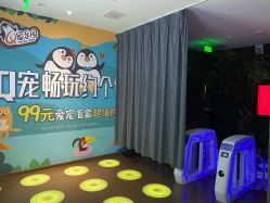 -七巧国萌宠乐园(龙湖天街店)