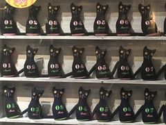 -猫咪博物馆(顶澳仔猫街店)