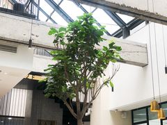 -大树餐厅(红旗街万达店)