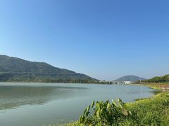 -风云岭森林公园