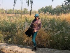 -永定河休闲森林公园