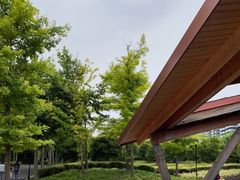 -上海山野camping·户外天幕烧烤·团建拓展营地