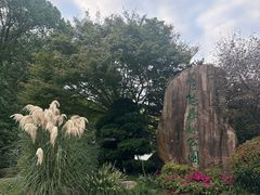 -昆山城市生态森林公园