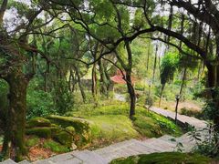 -青芝山风景名胜区