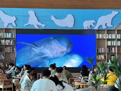 -抱抱地球咖啡馆(国家海洋博物馆店)