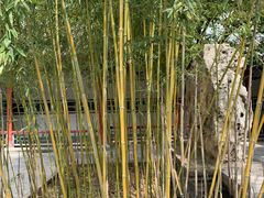 -莲池书院博物馆