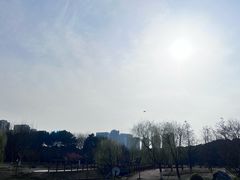 -瀛洲公园