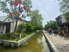 -吴越荣记苏州菜·松鼠桂鱼100%活鱼现做(斜塘老街店)