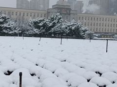 -大连人民广场