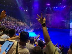 -芜湖新华联大白鲸海洋公园