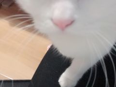 -宠颐生中康贝怡动物医院