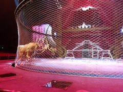 -珠海横琴长隆《卡卡虎奇遇记》