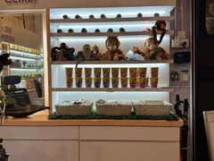 -ventus spa 沙巴亚庇正宗精油按摩会所