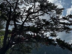 -老界岭旅游度假区