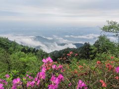 -东方饺子王(创始店)