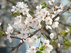 -七宝老街-闵行市民文化广场