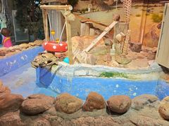 -正佳雨林生态植物园