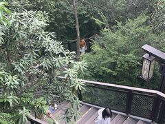 -灵顺寺