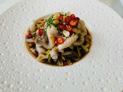 椒麻小章鱼-伙靠·江浙菜(田林路店)