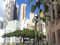 -香港大学