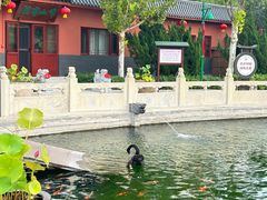 -天津市峰山药王古寺