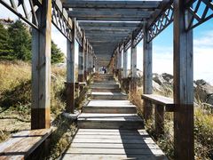 -白草畔自然风景区