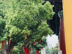-宝通禅寺
