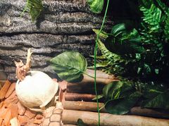 -疯狂的筷子老灶九宫格火锅
