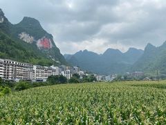 -长寿村