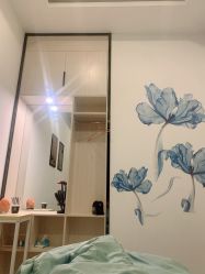 -DEM缔怡美科技美容